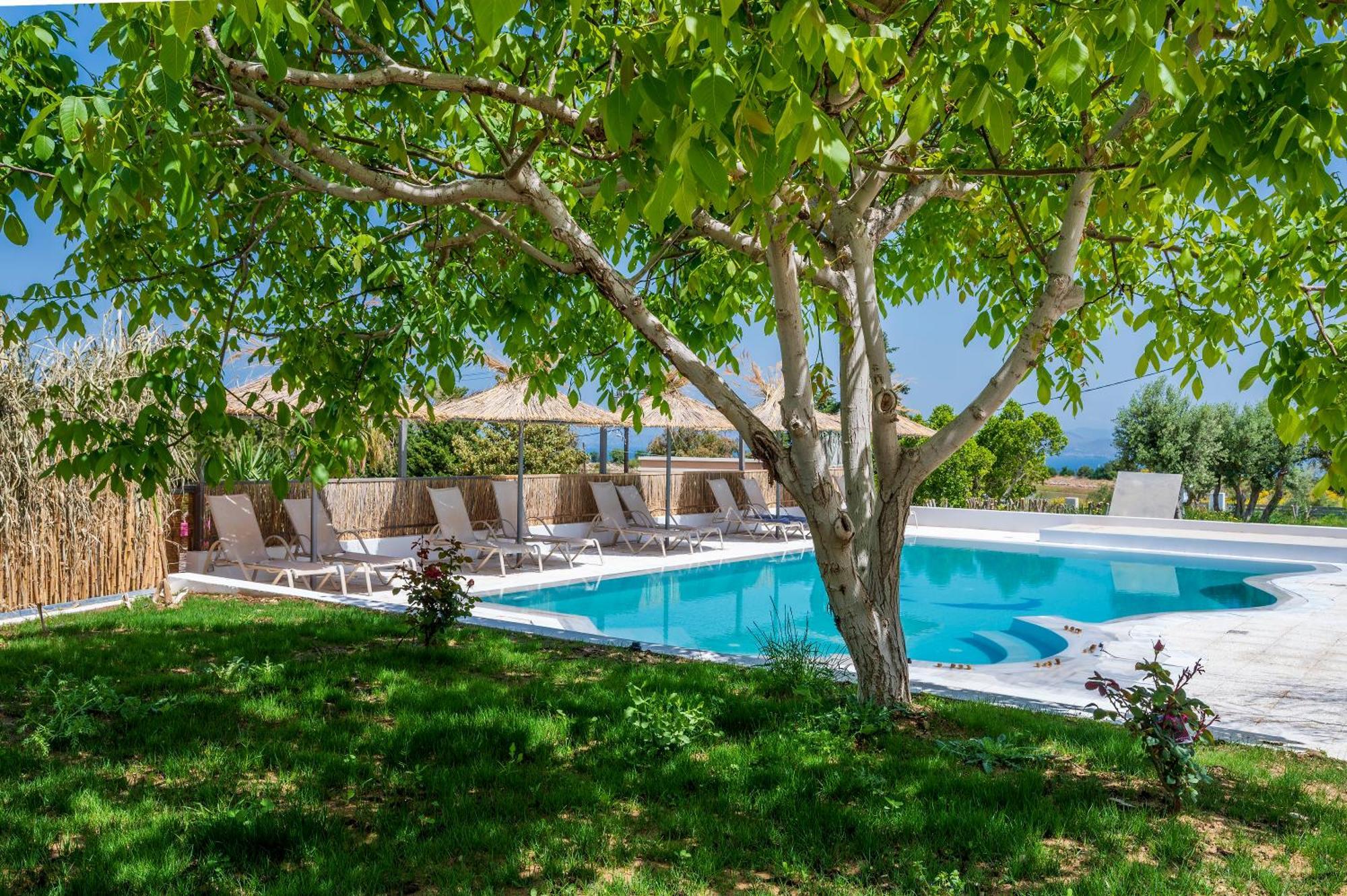 Homes Eva'S Garden, Poolside Cozy Havens In Kos Agios Dimitrios  Εξωτερικό φωτογραφία