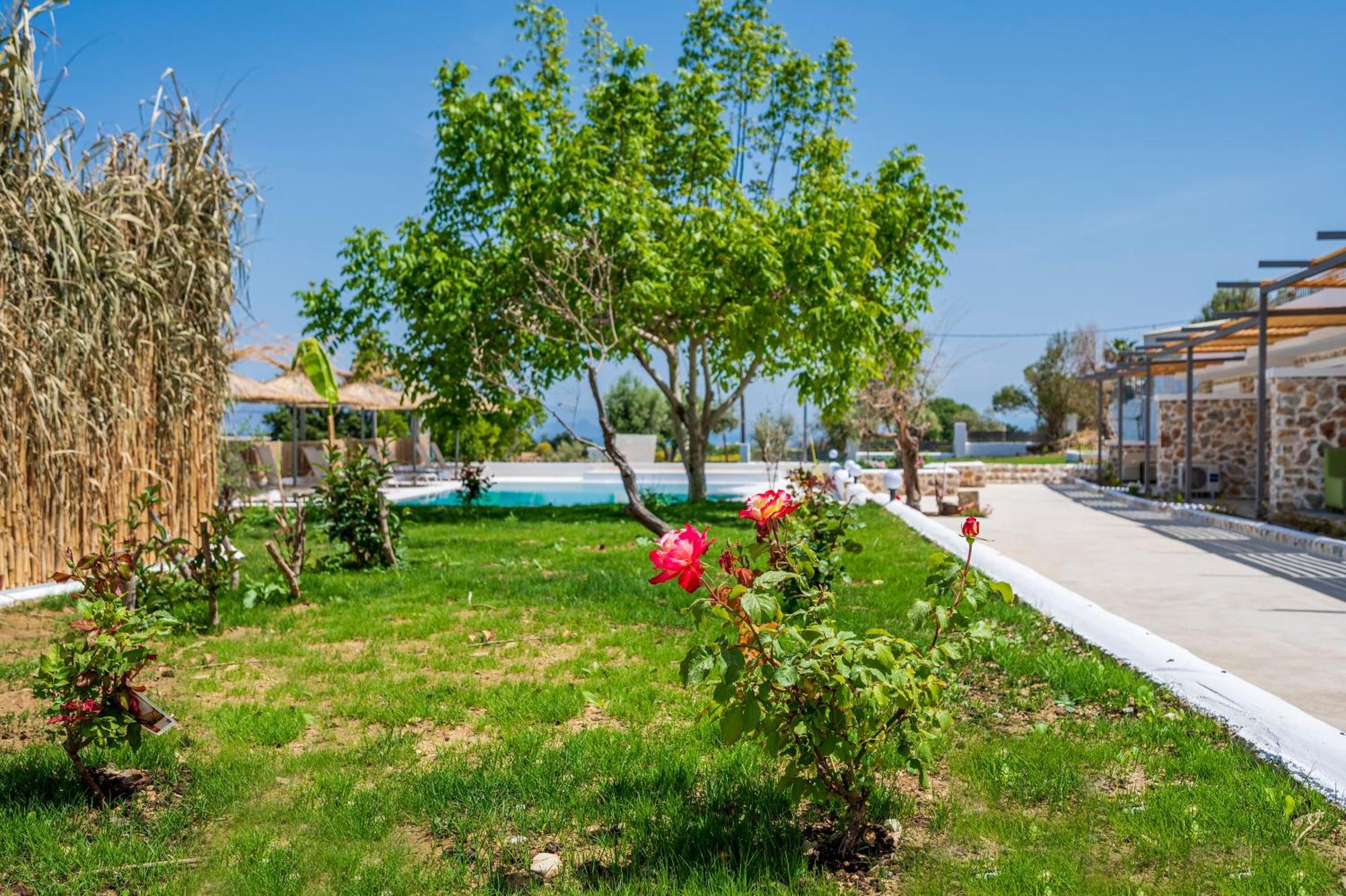 Homes Eva'S Garden, Poolside Cozy Havens In Kos Agios Dimitrios  Εξωτερικό φωτογραφία